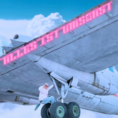 hallesaalegoldstrand feat. vinilla & cintag