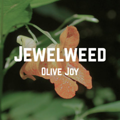 Jewelweed
