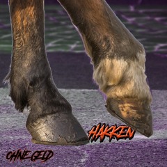 HAKKEN -- AtzeMiland