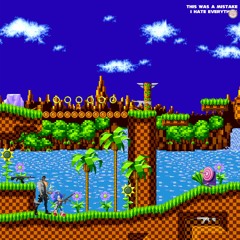 sonic and phoenix go to training