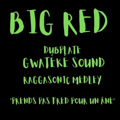 Big Red - Dubplate Gwatéké Sound Medley Raggasonic