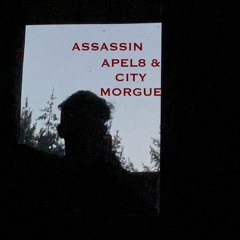 ASSASSIN- APEL8 FT CITY MORGUE