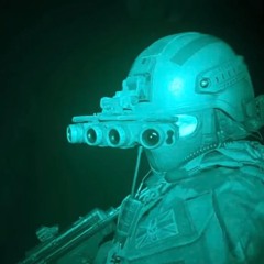 VERMIS - NIGHT VISION