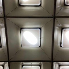 good morning (fly).flac