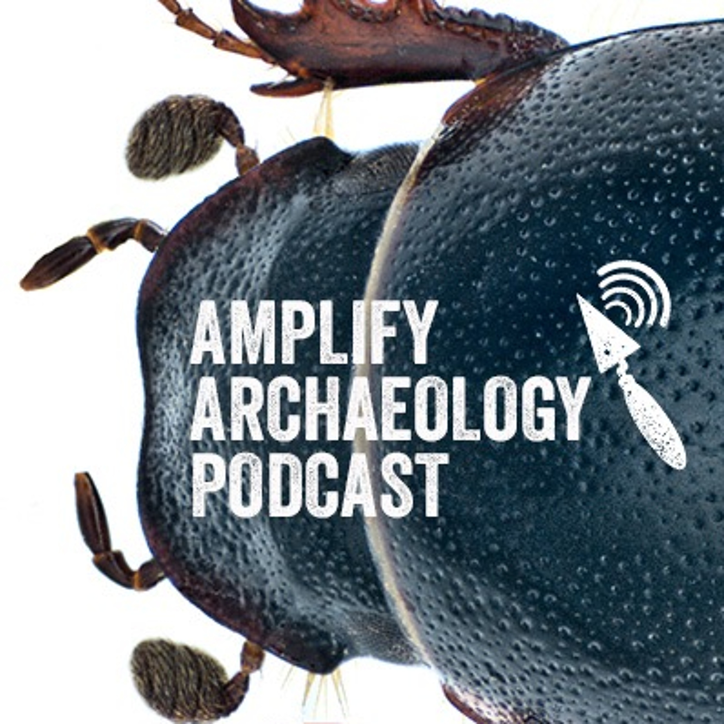 A Bugs AfterLife Archaeological Insect Analysis – Amplify Archaeology Podcast Episode 31 episode artwork