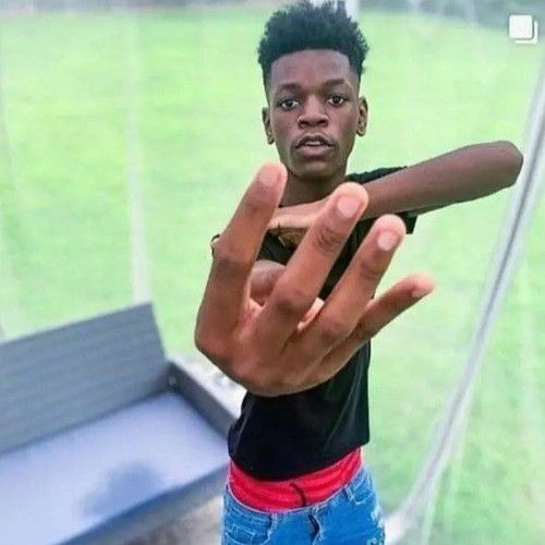 WHAT DID YOU DO.  Analog Funkin  Harmony and Horror Teaser.mp3