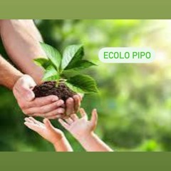 Écolopipo