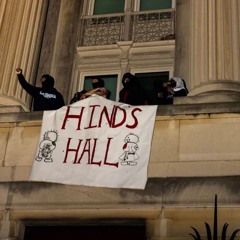 IN THE JUNGLE WITH ZAVOLI