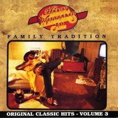 I've Got Rights - Hank Williams Jr.