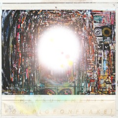 Measurements (For Pigeonflake)