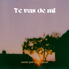 Te Vas De Mi - Cover