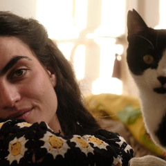 Houseum records at Audiophile Bar