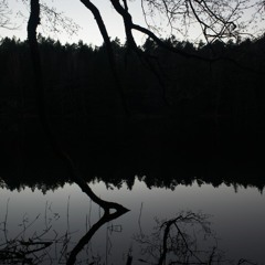 Pond Spirits (TPC 329)