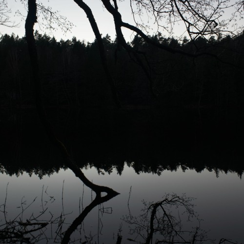 Pond Spirits (TPC 329)