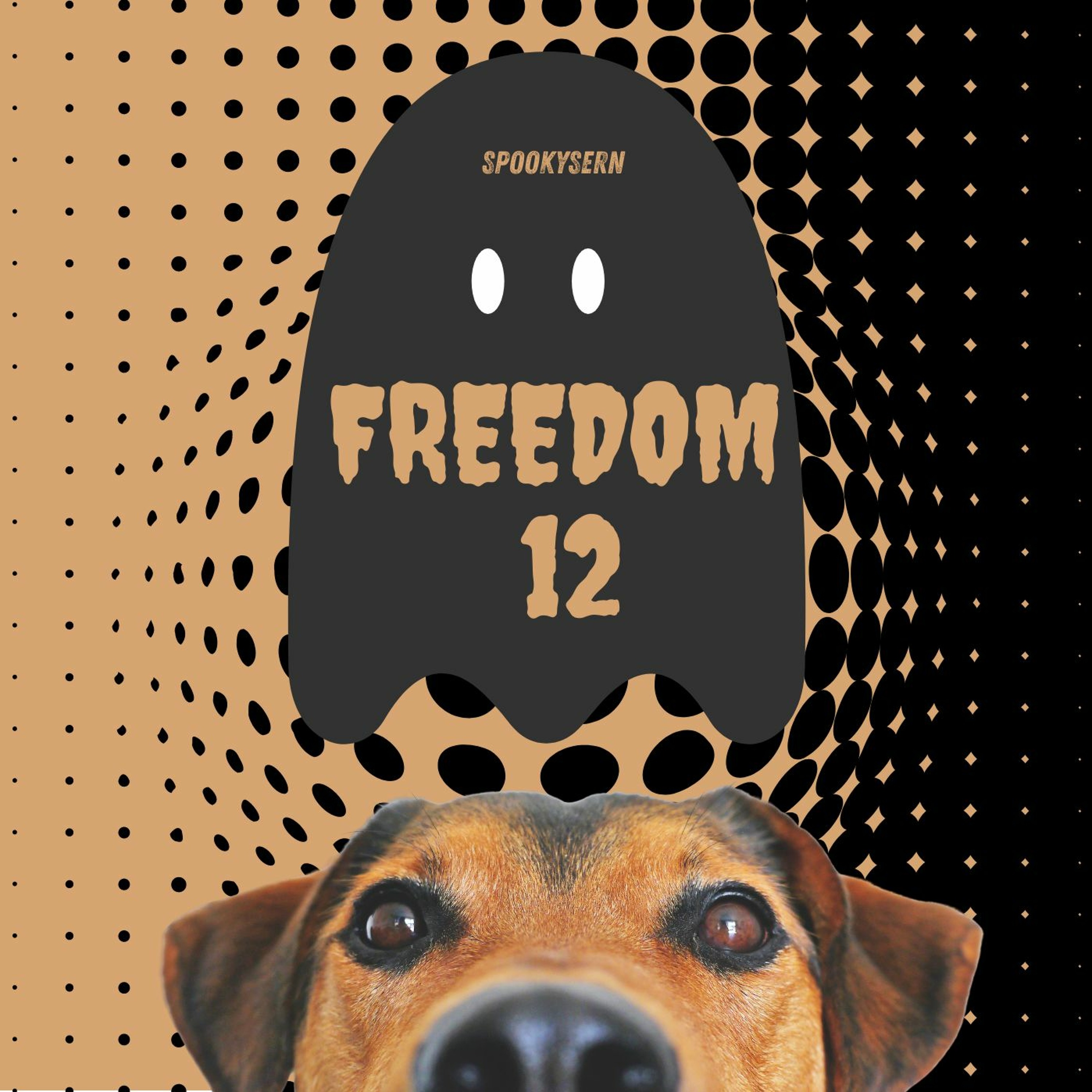 Freedom 12 episode artwork