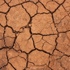 Jumu'ah Khutbah 8/8/2025  The heat of summer is but a faint reminder of the heat of the Hereafter
