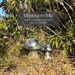 Mushroom Mix