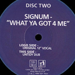 Signum - What you got 4 me (DDUBSB00T) Free Download