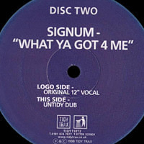 Signum - What you got 4 me (DDUBSB00T) Free Download