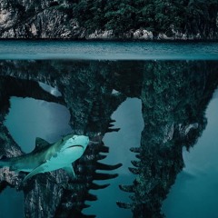 VERYOFTEN [PROD. SXARRO]