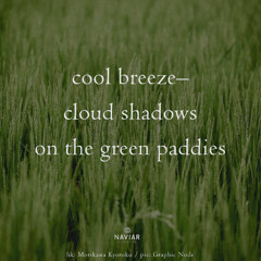 Roku [ naviarhaiku572 ]