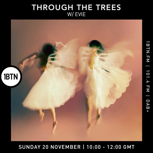 Through The Tree's with Evie - 20.11.2022