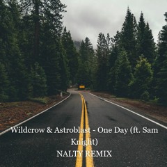 Wildcrow & Astroblast - One Day (ft. Sam Knight)(Nalty Remix)