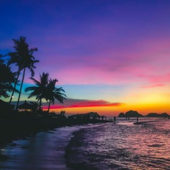 Into the Sunset  V1