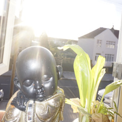 letter to closure (acoustic)