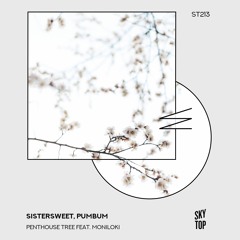 Sistersweet, Pumbum - Penthouse Tree Feat. Moniloki (Night Mix) [SkyTop]
