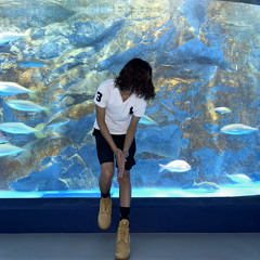 mid9ght aquarium
