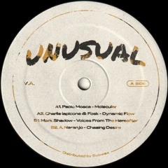 Various Artists - Unusual VA01 EP (UNSWAX02)