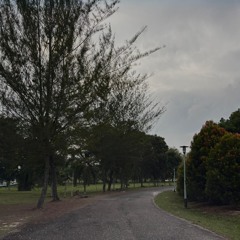 Karma - Cokelat (Cover) Ft. Suami