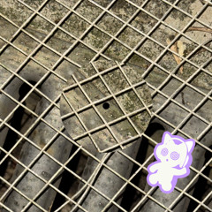 [Swine Premiere] cratje - SFTG1 (MONTAGE)