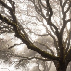 Behind The Verge (GB, ETHA)