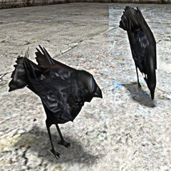 crows (prod. nightiger)