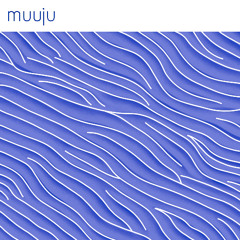 muuju - bedforms