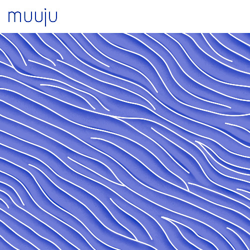 muuju - bedforms