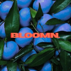 bloomn.sound004