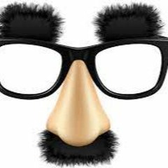 Disguise