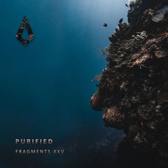 I Kept Telling Myself [Purified Records]
