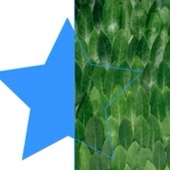 tour bus (put in werk)