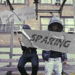 LLORD - SPARING (Ft Sha Gz, DD Osama)