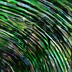 Lara David - N_GRNRHTHM [200JELLY]