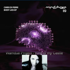 Chris Di Perri_ Wamdue Project_Paul Woods - King of my Body Lies