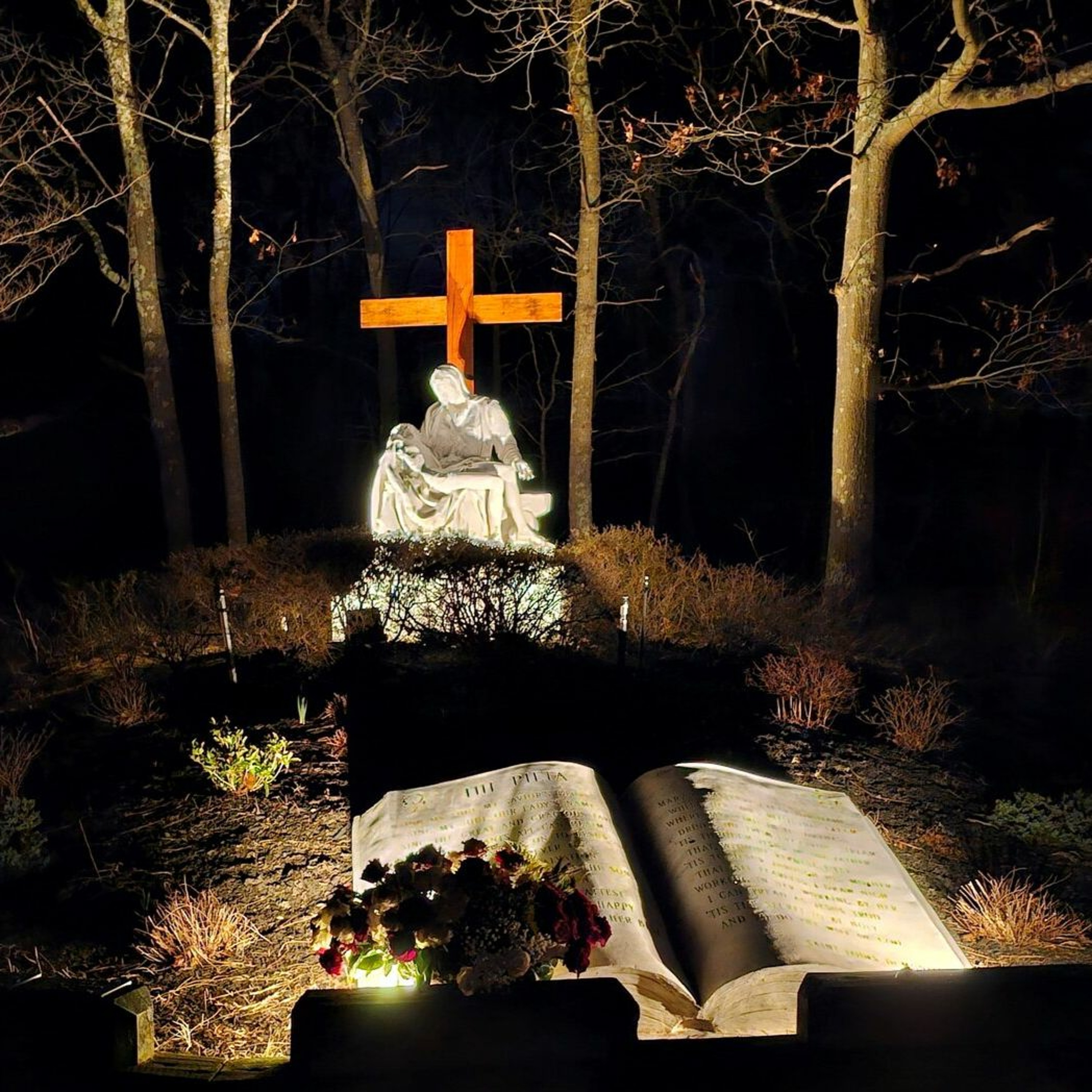 The Holy Rosary: Glorious Mysteries: Recorded on the Third Night of the Mission episode artwork