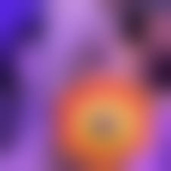 Morad expose video morad expose video reddit video morad filtrado morad leak video
