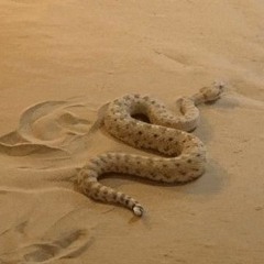 Izaya Tiji - Hole On