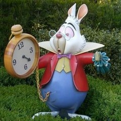 WHITE RABBIT