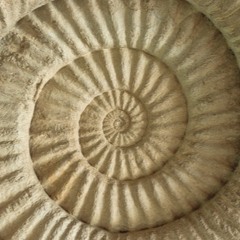 visualisatie Treshold wandeling De Dag